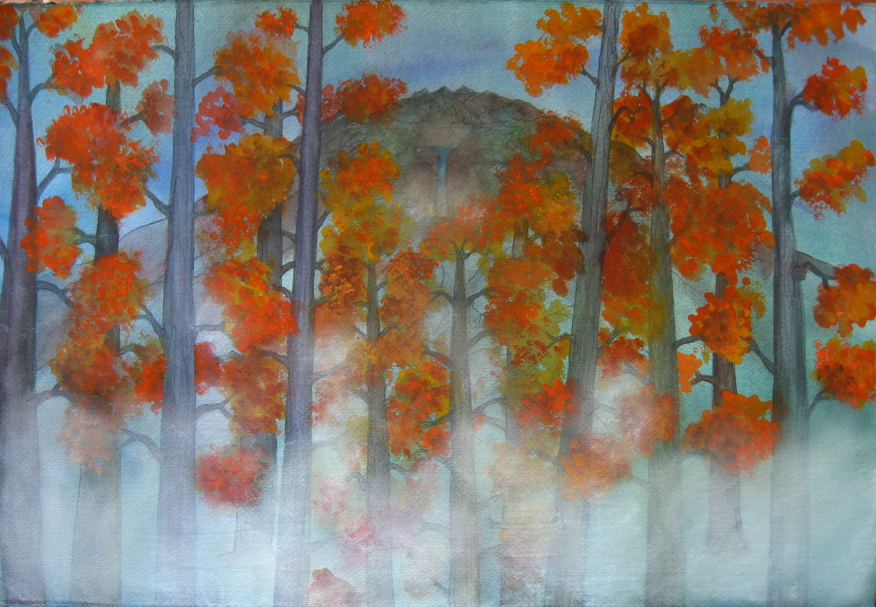 Foggy Forest .jpg
